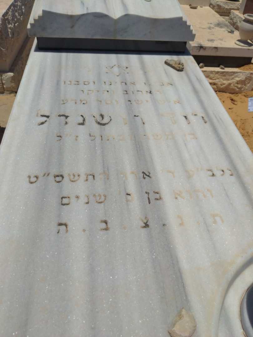 קברו של דוד רושנדל. תמונה 2