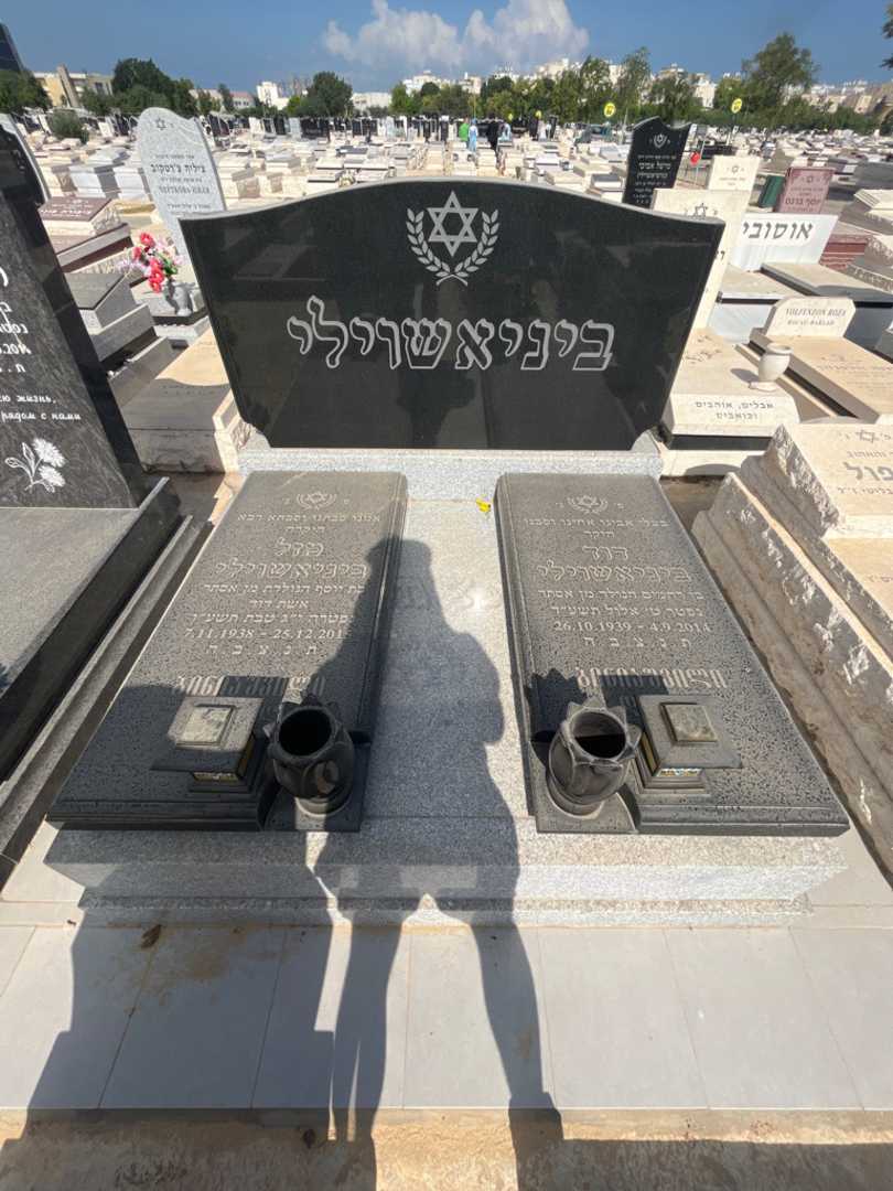 קברו של דוד ביניאשוילי. תמונה 2