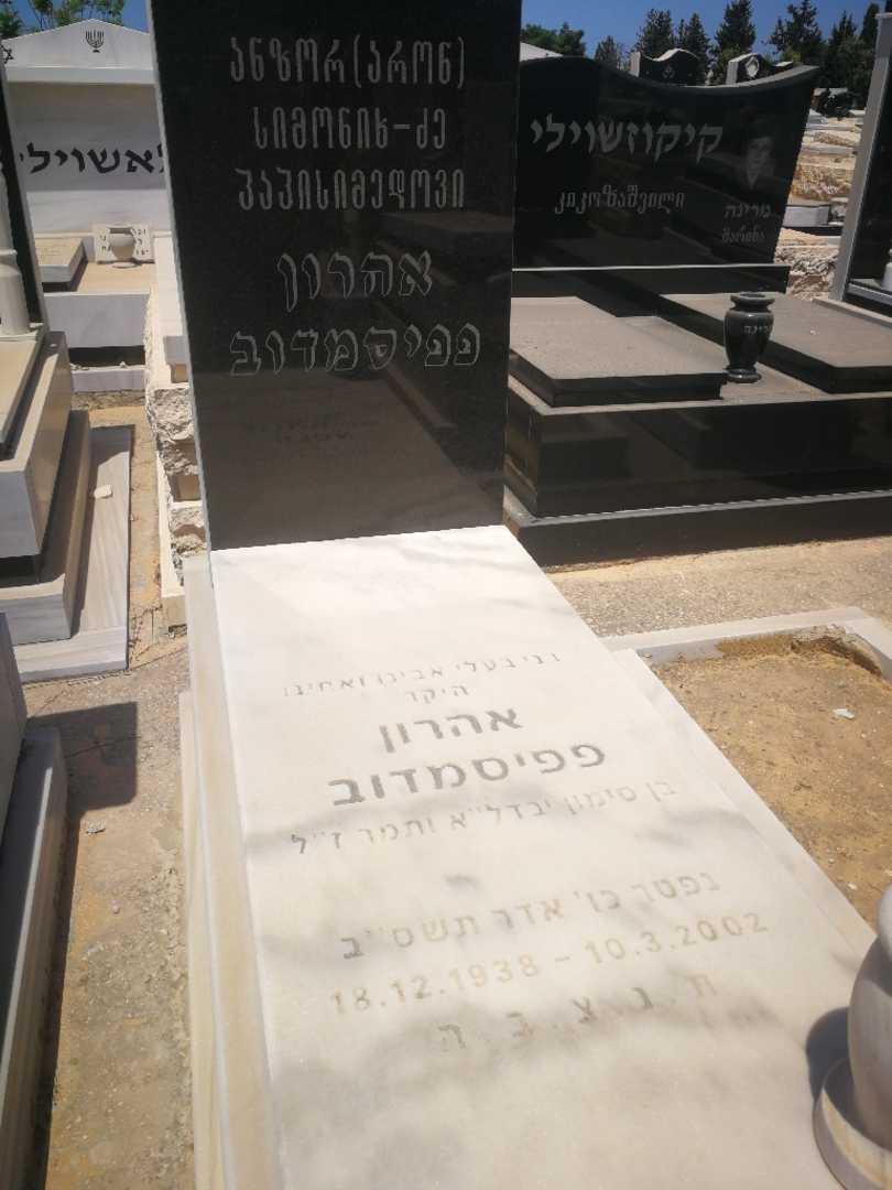 קברו של אהרן פפיסמדוב. תמונה 1