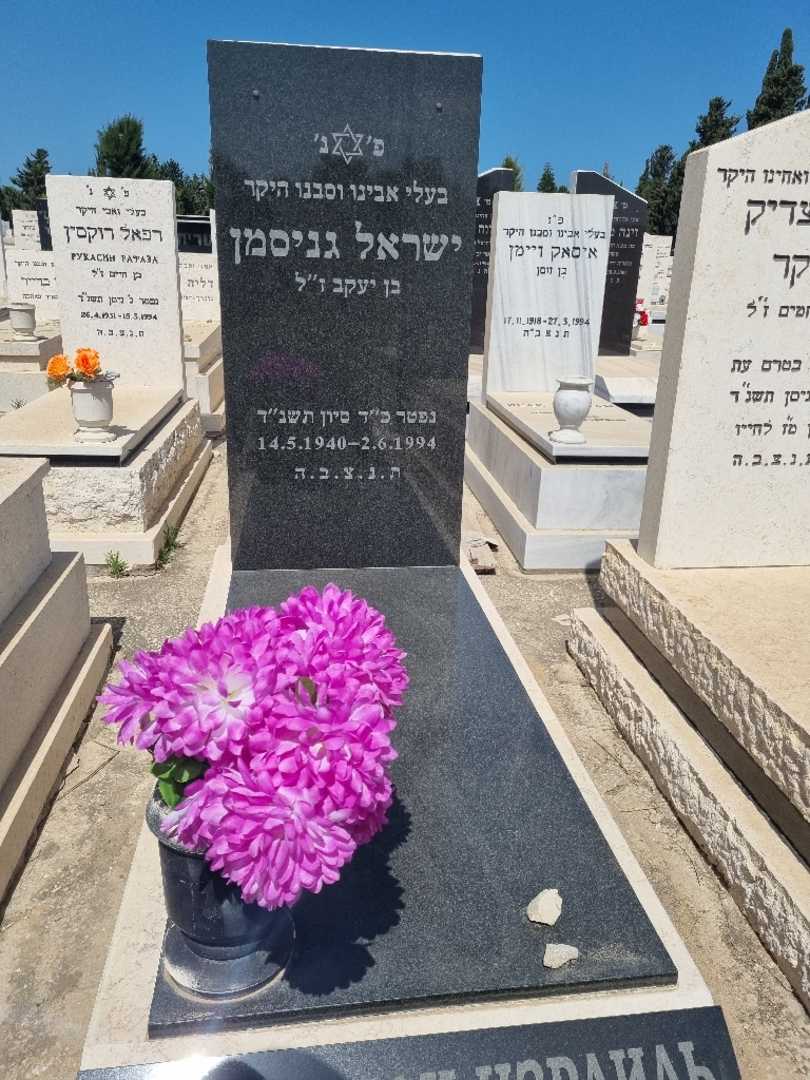 קברו של ישראל גריניסמן. תמונה 1
