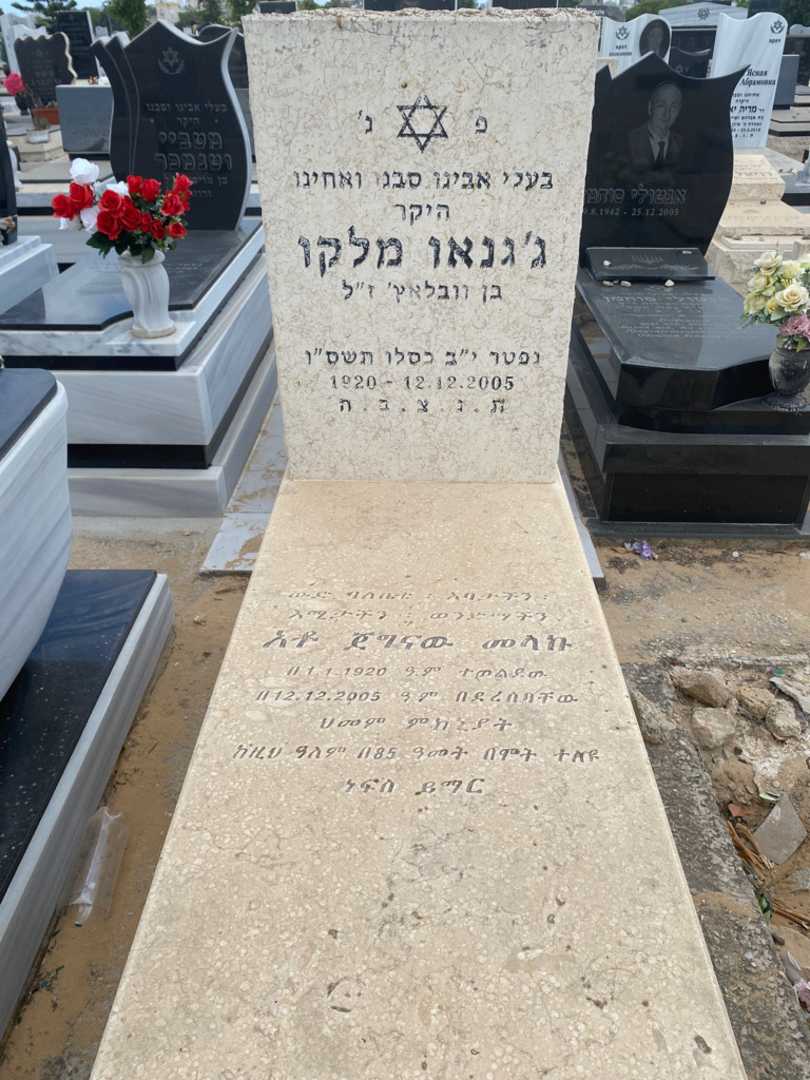 קברו של ג'גנו מלקו. תמונה 1