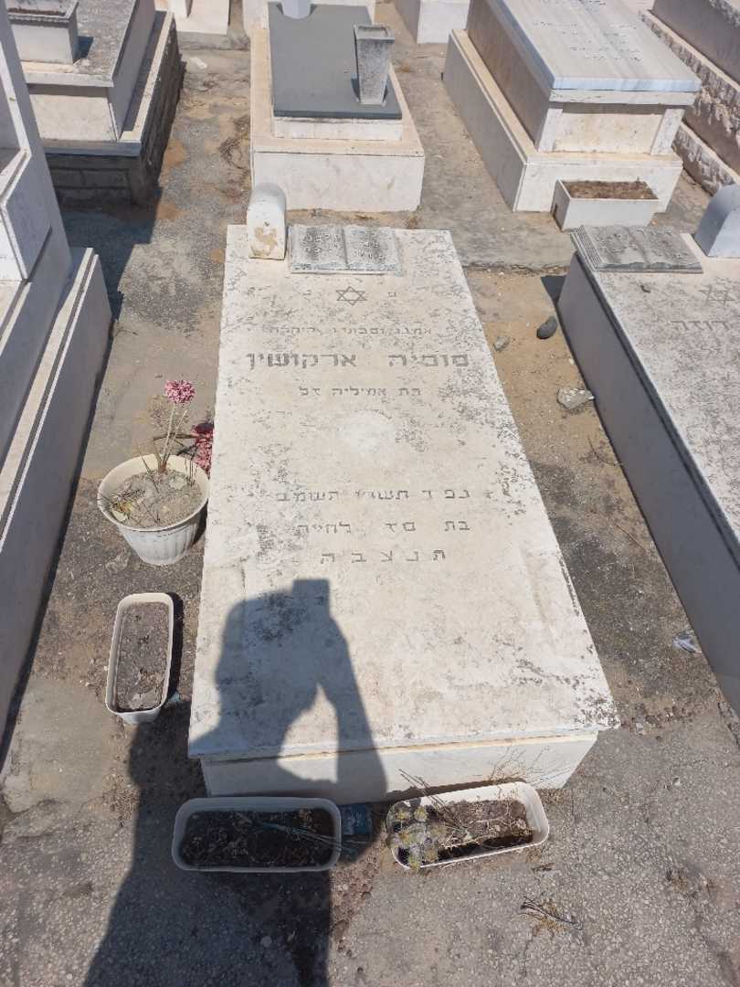 קברו של סופיה ארקושין. תמונה 1
