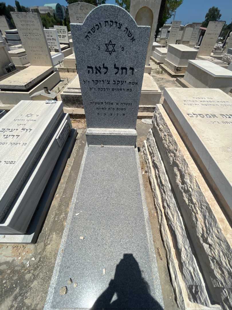 קברו של רחל צ'ריקר. תמונה 1