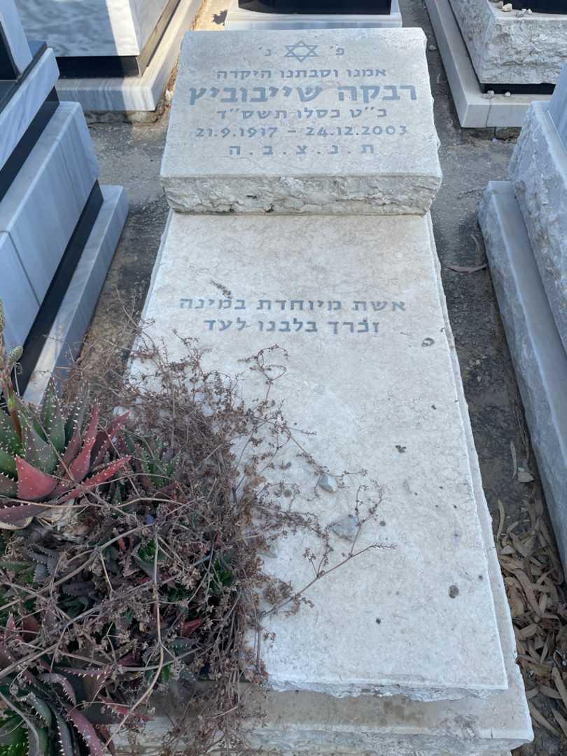 קברו של רבקה שיבוביץ. תמונה 1
