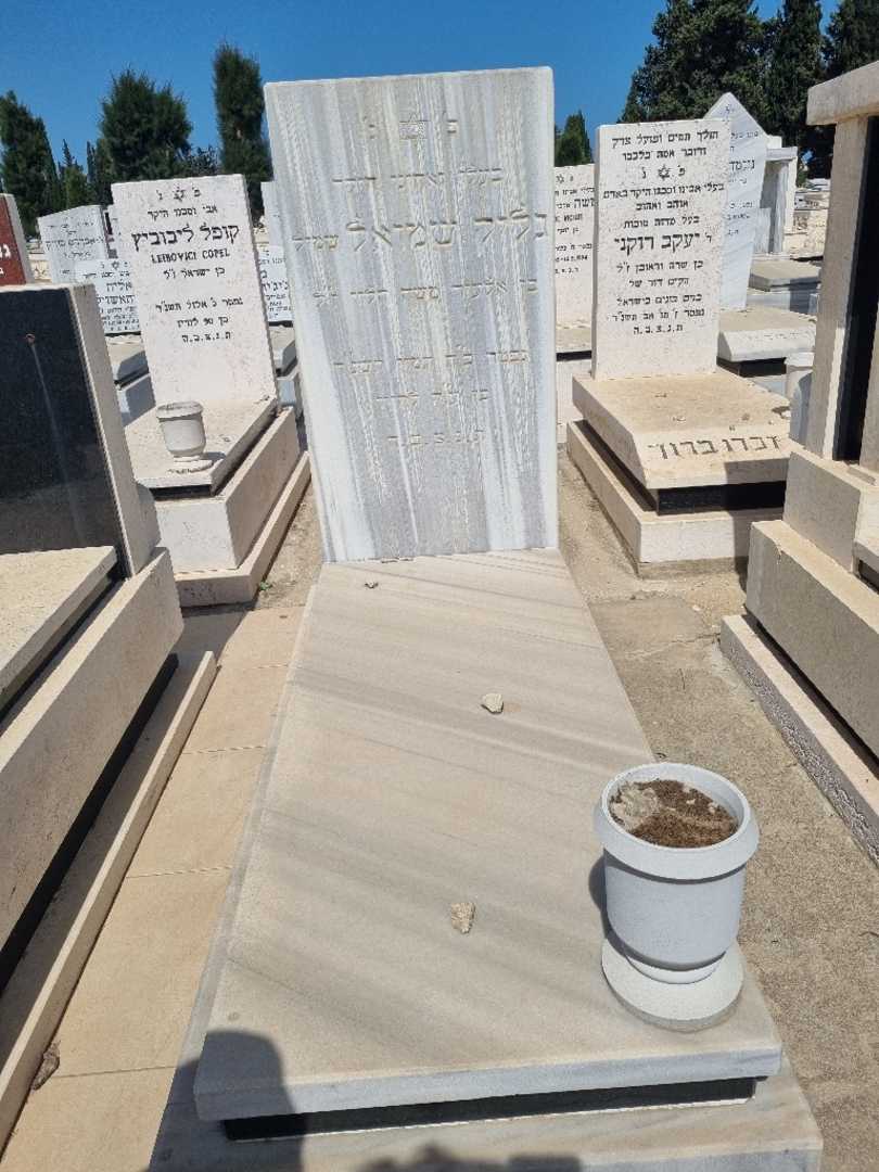 קברו של שמואל "שמול" גליק. תמונה 1