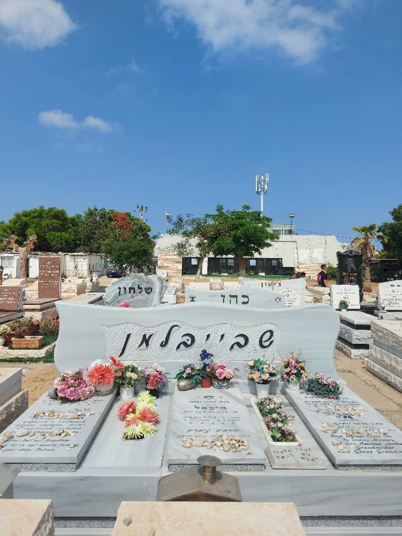 קברו של מיכאל שבייבלמן. תמונה 1
