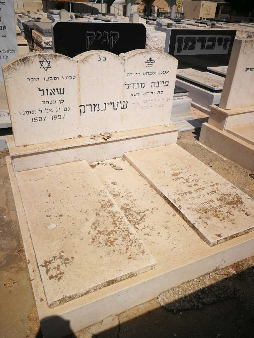 קברו של פייגה מנדל שטיינמרק. תמונה 2