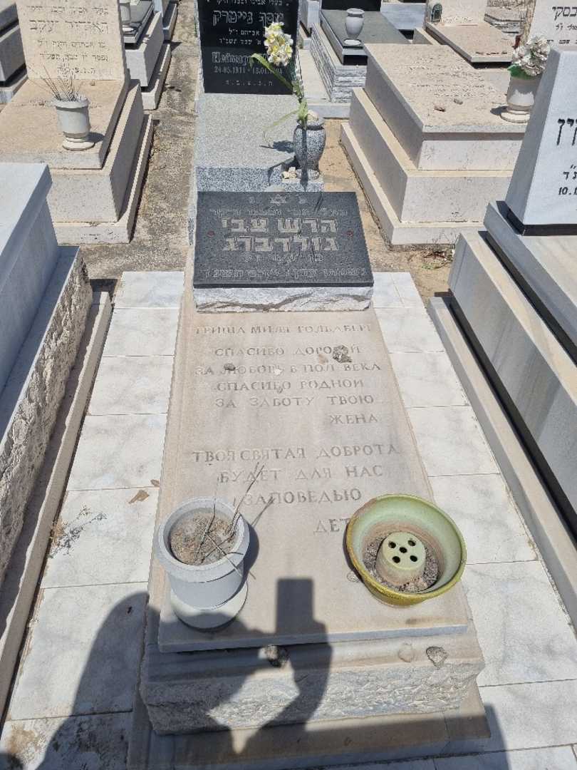 קברו של הרש-צבי גולדברג. תמונה 1