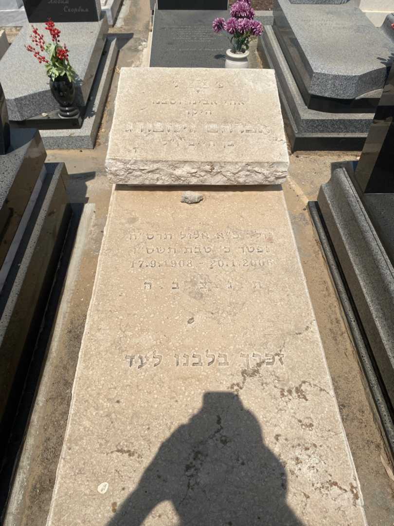 קברו של אברהם גינזבורג. תמונה 1