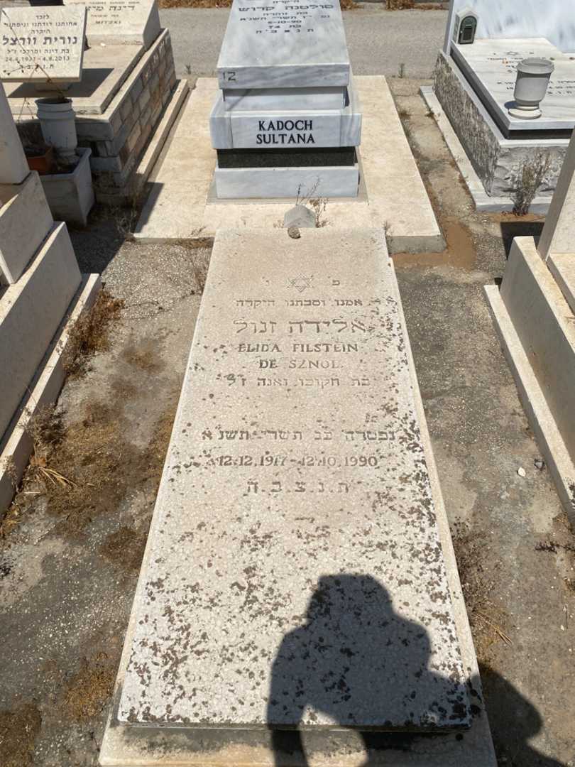 קברו של אלידה זנול. תמונה 1
