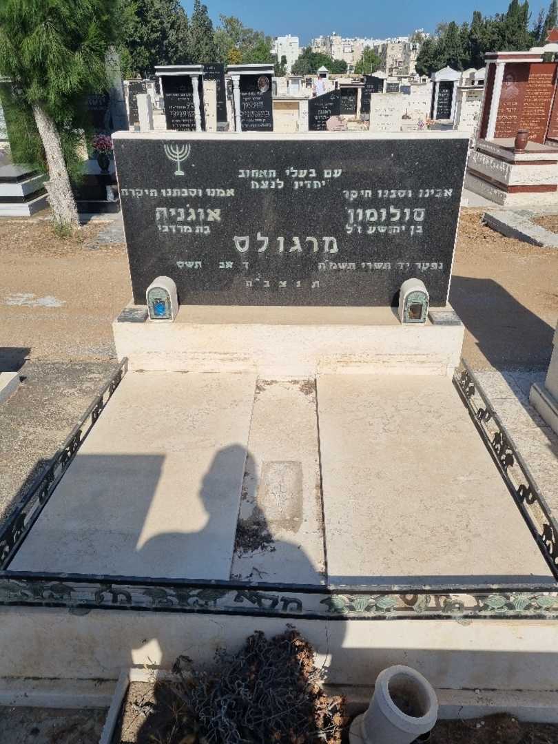 קברו של סולומון מרגולס. תמונה 1