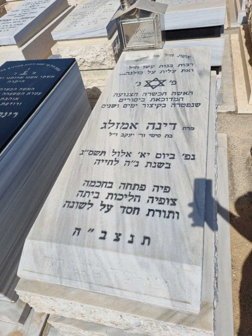 קברו של דינה אמזלג. תמונה 1