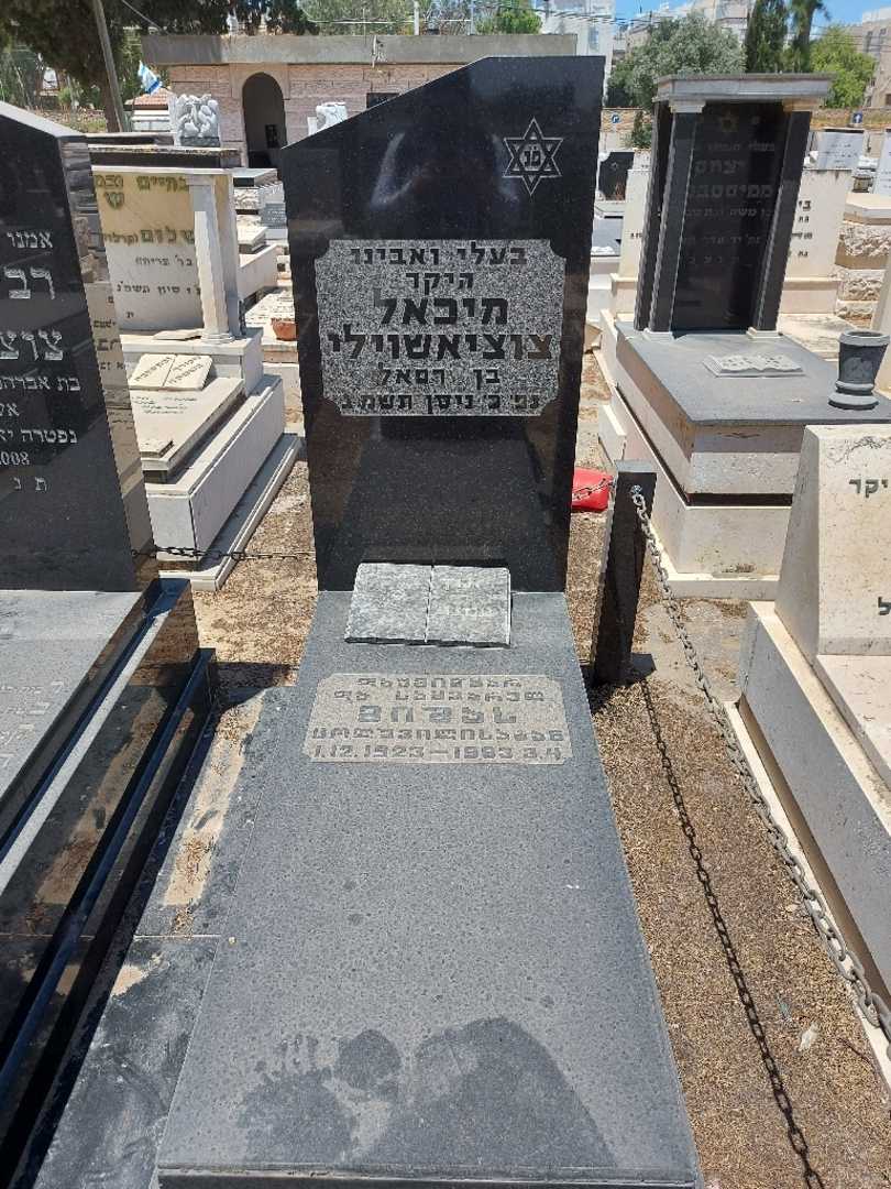 קברו של מיכאל צוציאשוילי. תמונה 1