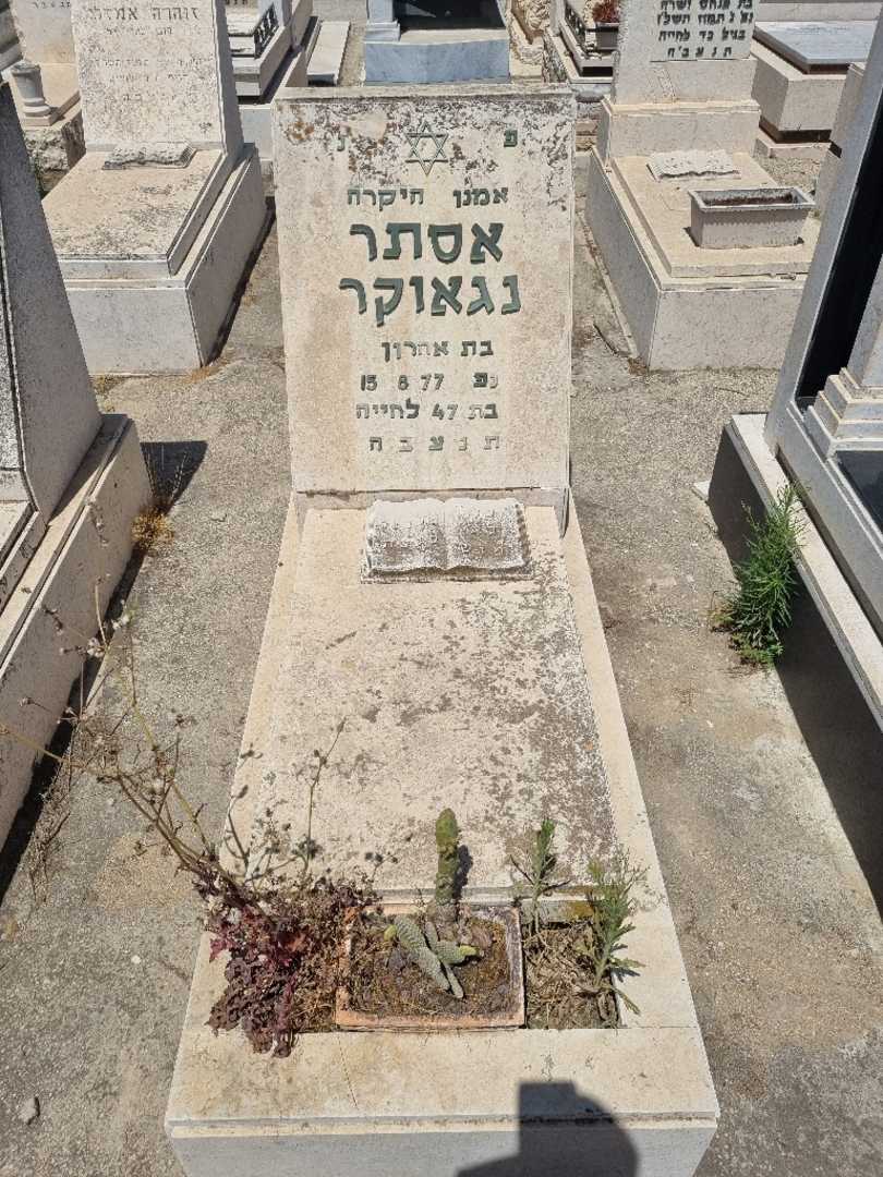 קברו של אסתר נגאוקר. תמונה 1