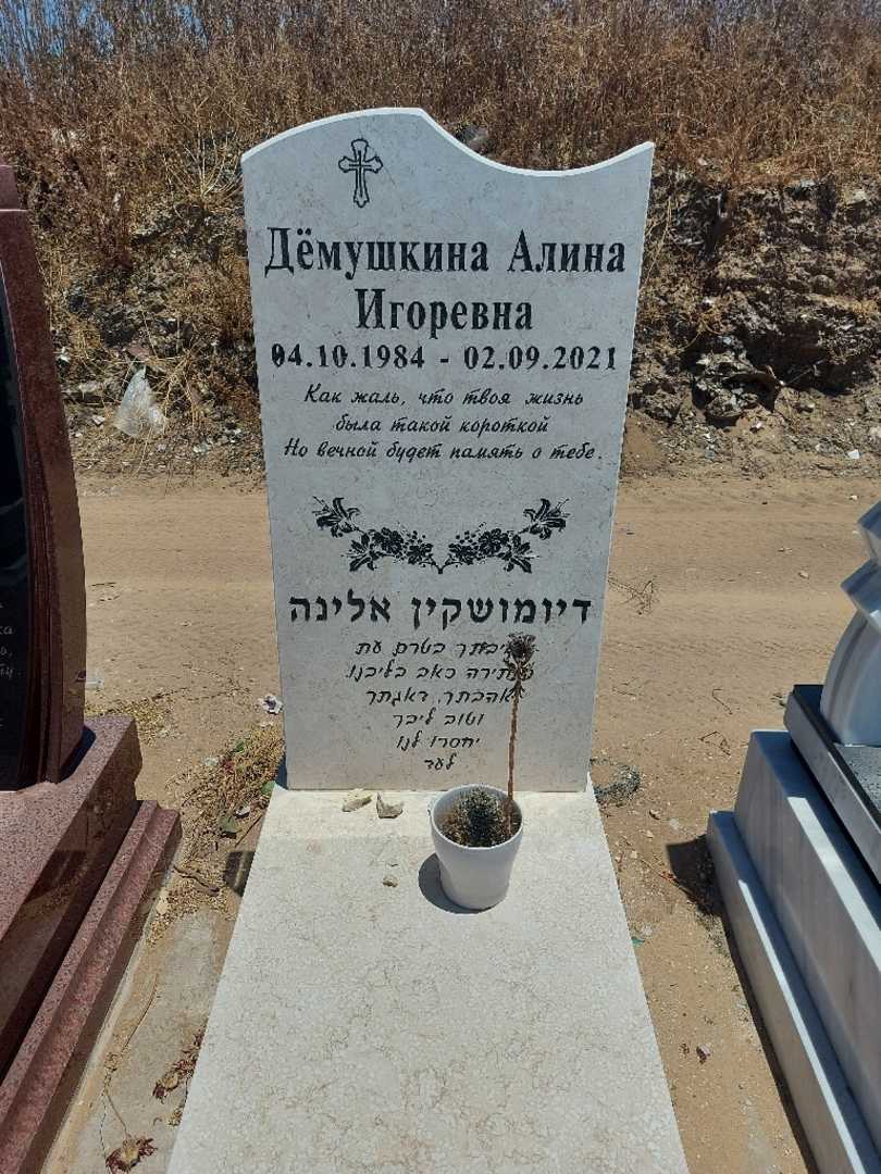 קברו של אלינה דיומושקין. תמונה 1