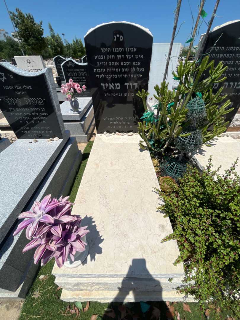 קברו של דוד מאיר. תמונה 1