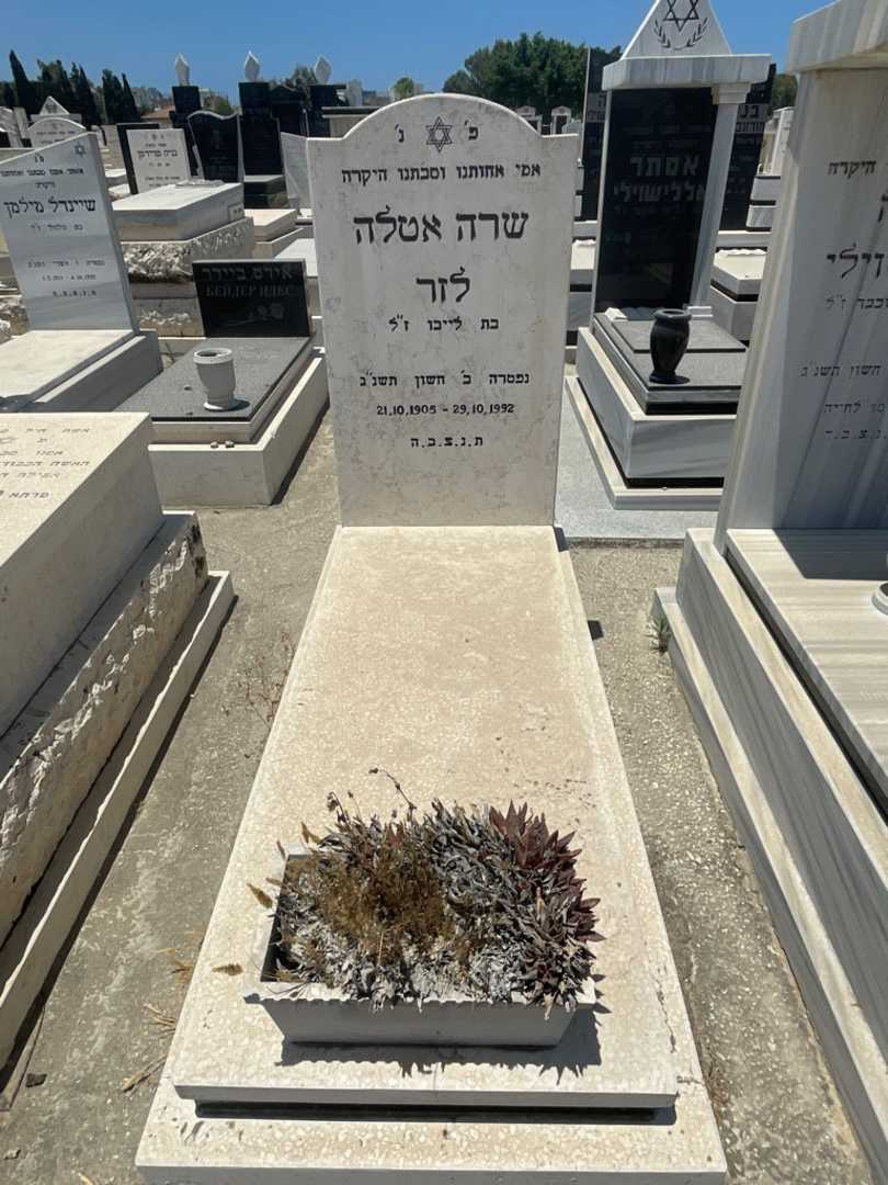 קברו של שרה לזר. תמונה 1
