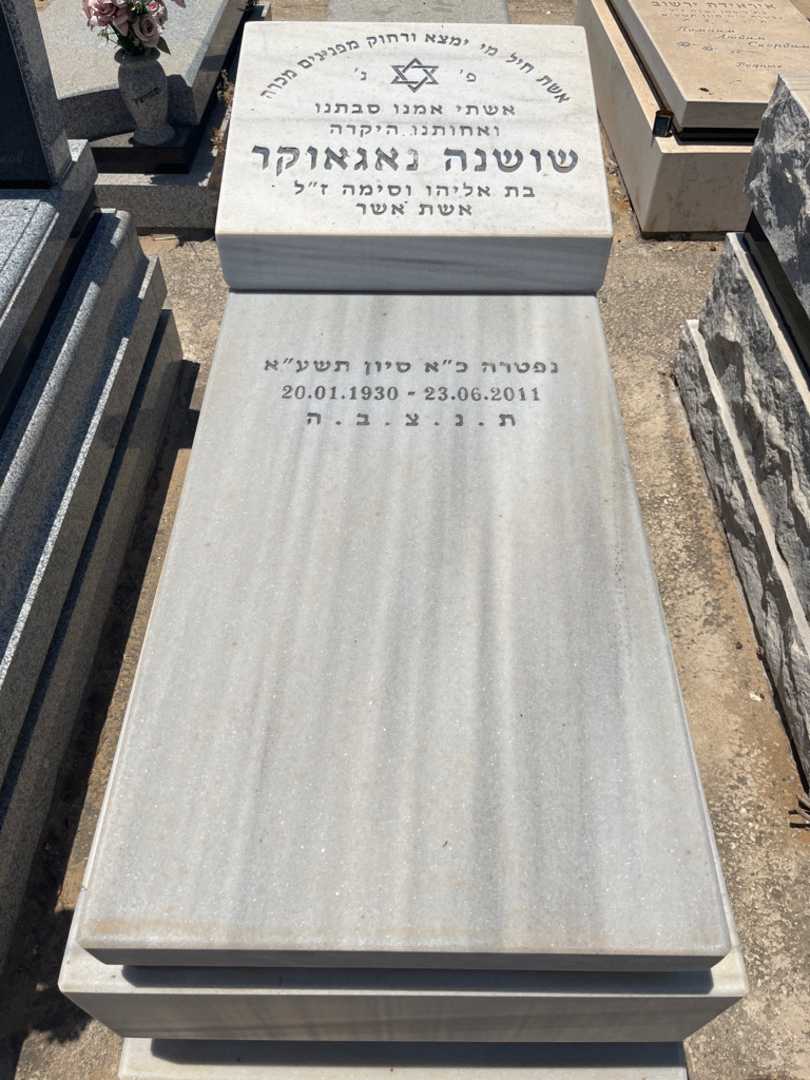 קברו של שושנה גאגאוקר. תמונה 1