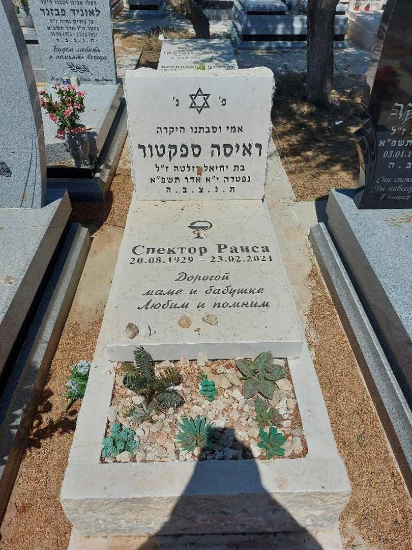 קברו של ראיסה ספקטור. תמונה 1