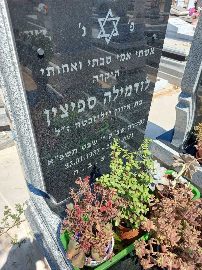 קברו של לודמילה ספיצין. תמונה 2