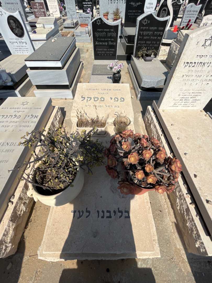 קברו של פפי פסקל. תמונה 1
