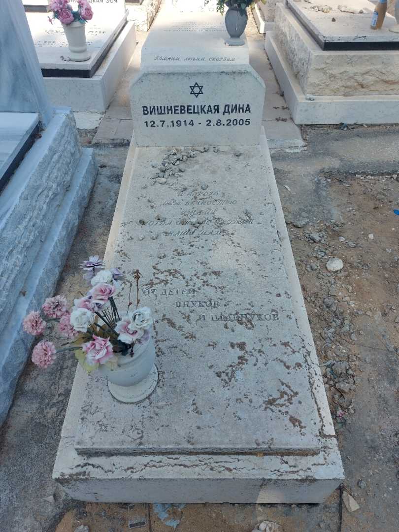 קברו של דינה וישניבצקי. תמונה 1