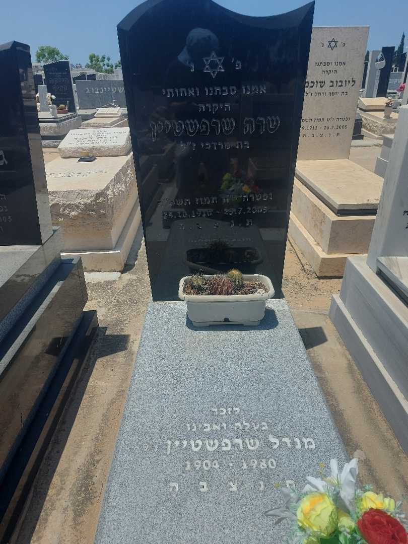 קברו של מנדל שרפשטיין. תמונה 1