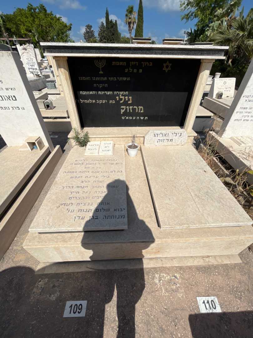 קברו של נילי מרזוק. תמונה 2
