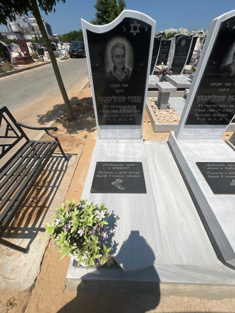קברו של גנאדי טורצ'ינסקי. תמונה 1