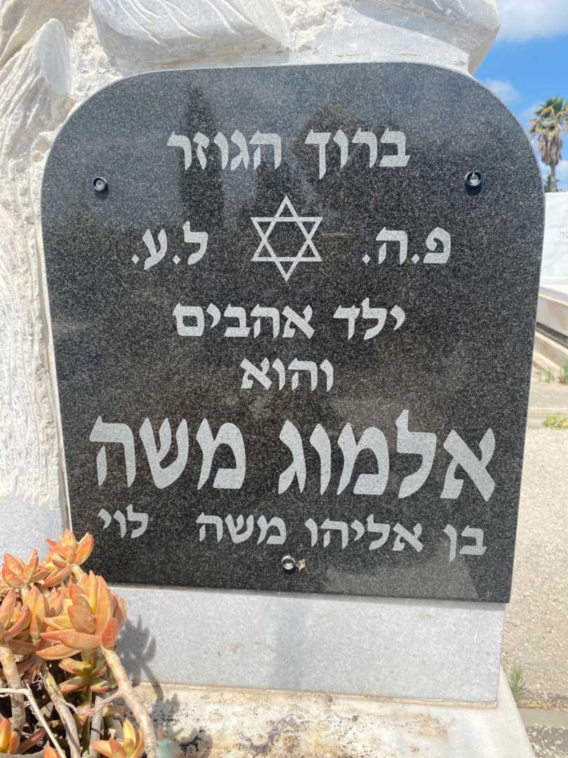 קברו של אלמוג משה. תמונה 2