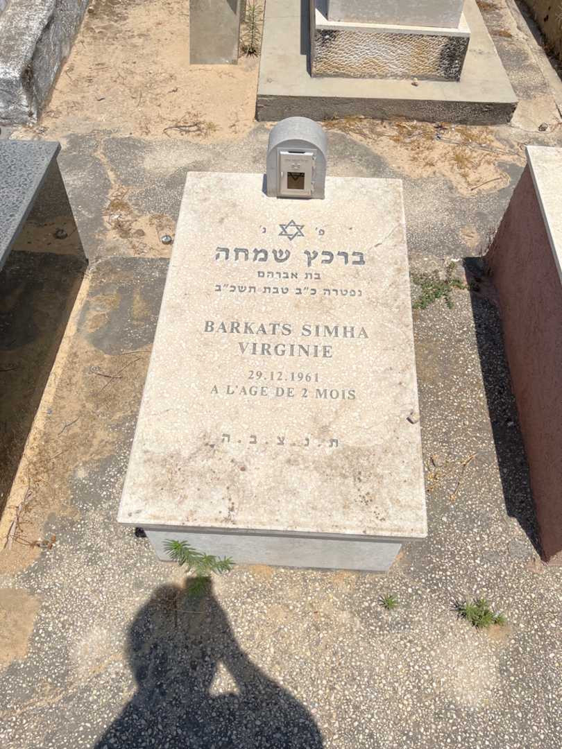 קברו של שמחה-וירגי ברקט. תמונה 1