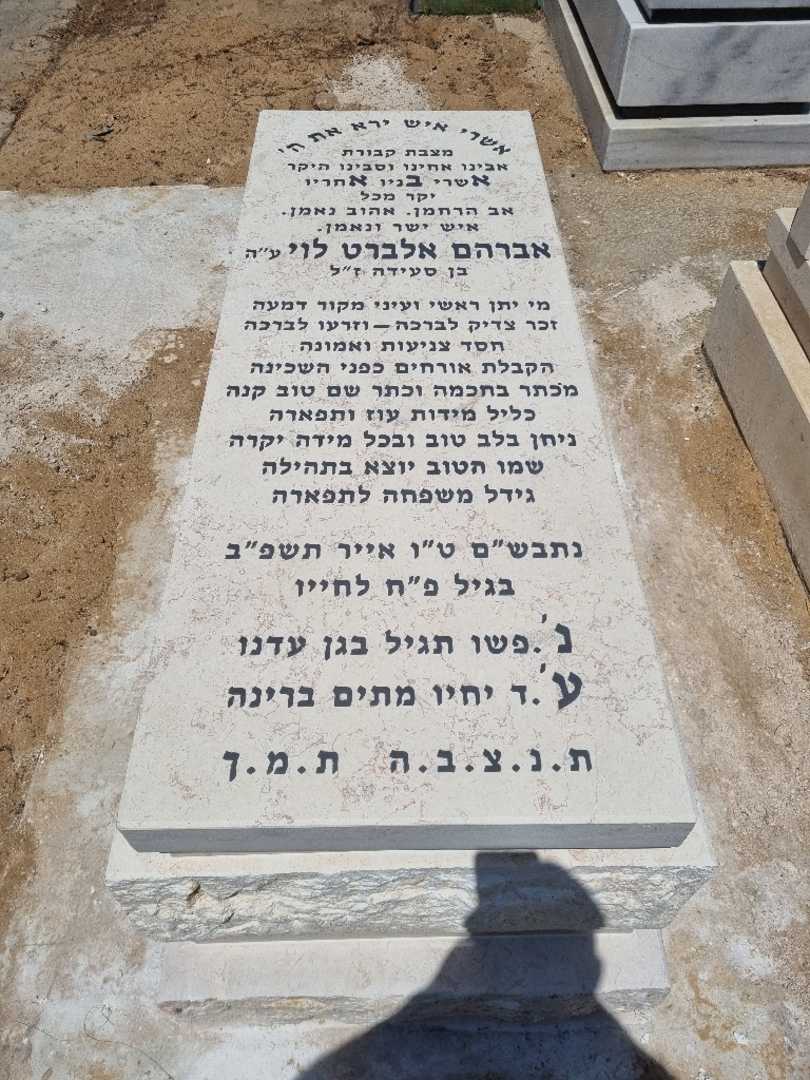 קברו של אברהם אלברט לוי. תמונה 1