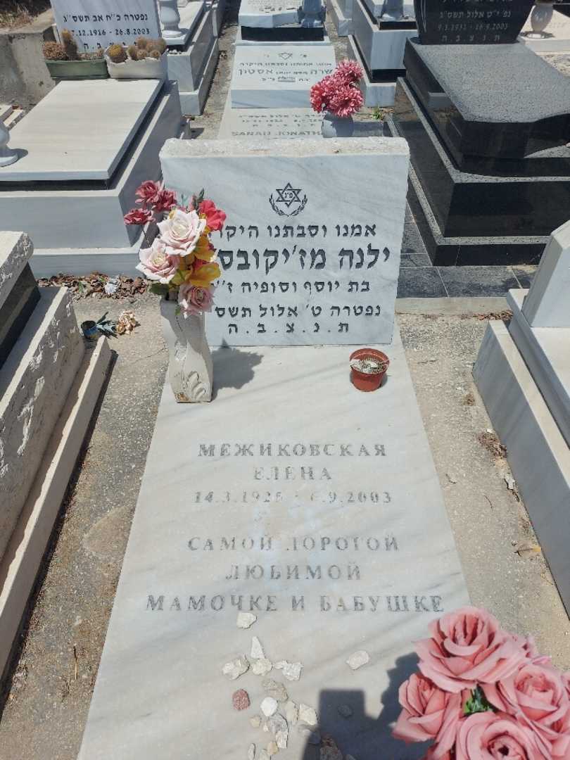 קברו של ילנה מז'יקובסקי. תמונה 1