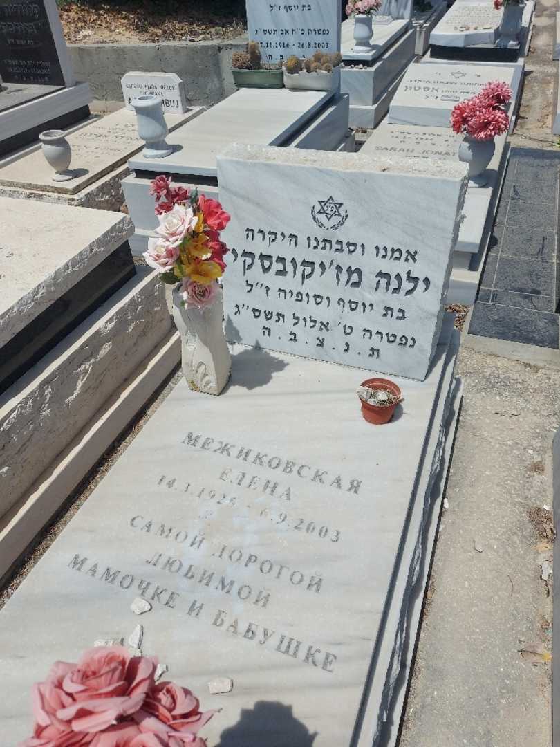 קברו של ילנה מז'יקובסקי. תמונה 2