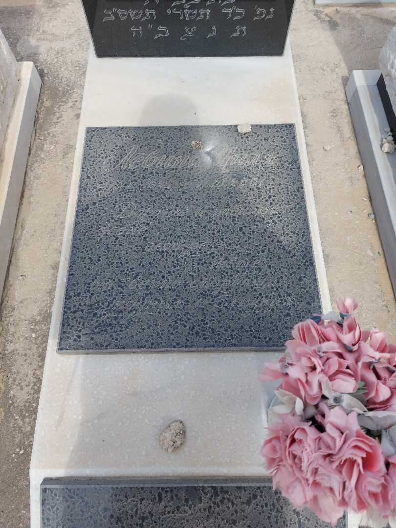 קברו של ציליה לזין. תמונה 2