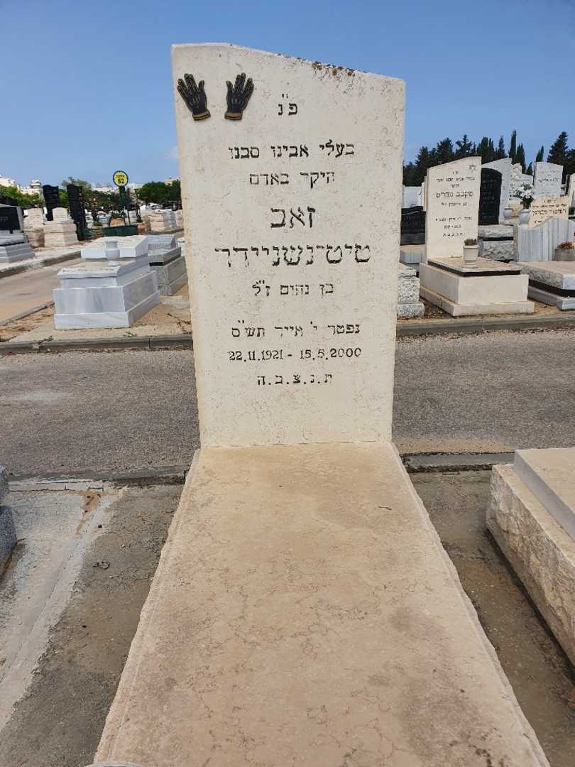 קברו של זאב טיטינשניידר. תמונה 1