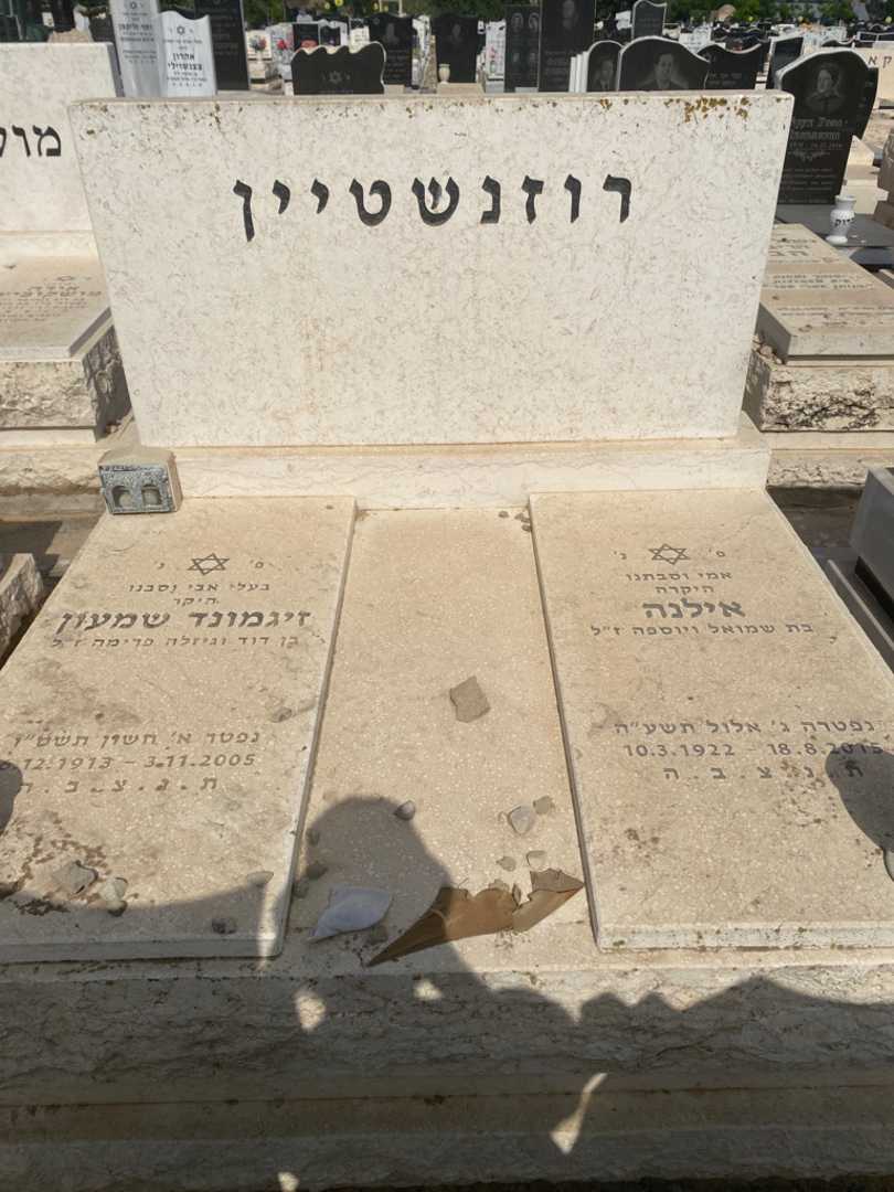 קברו של זיגמונד רוזנשטין. תמונה 1