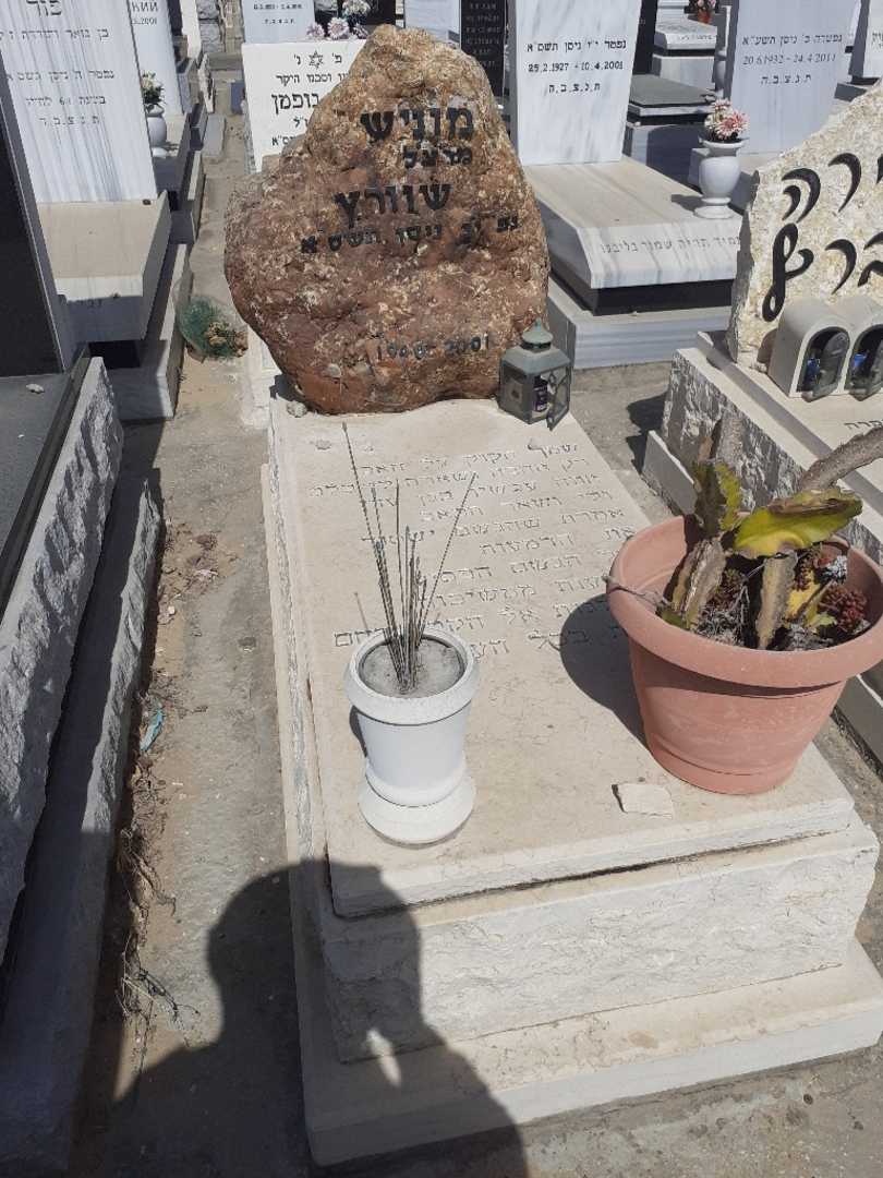 קברו של מוניש שוורץ. תמונה 1