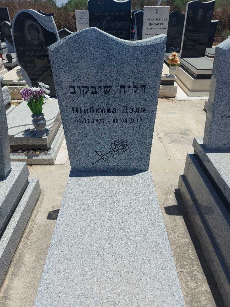 קברו של דלרה שיבקוב. תמונה 1