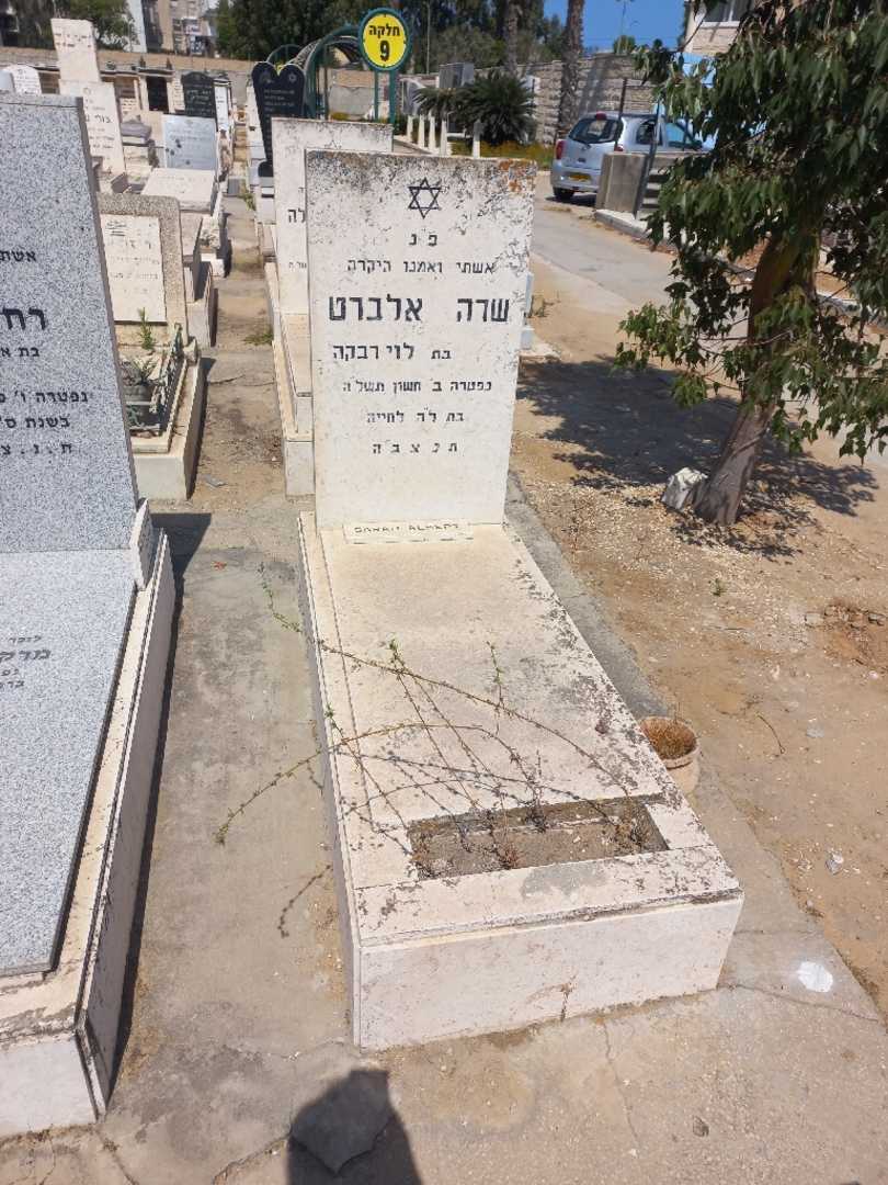 קברו של שרה אלברט. תמונה 1