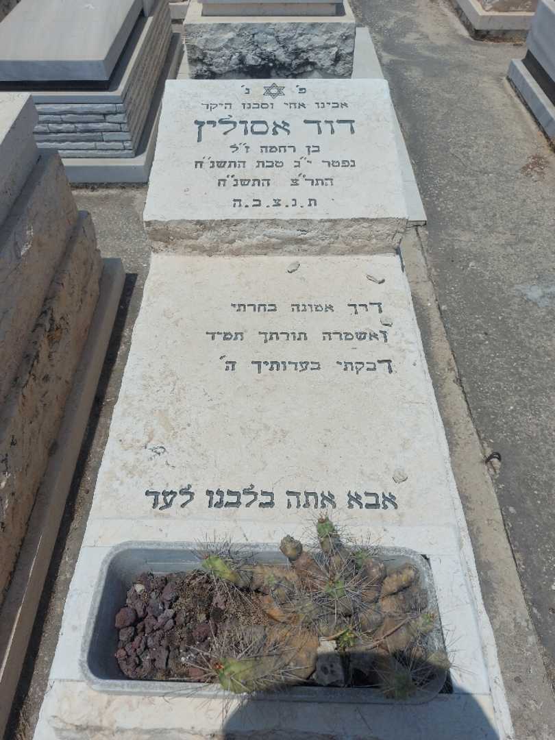 קברו של דוד אסולין. תמונה 1