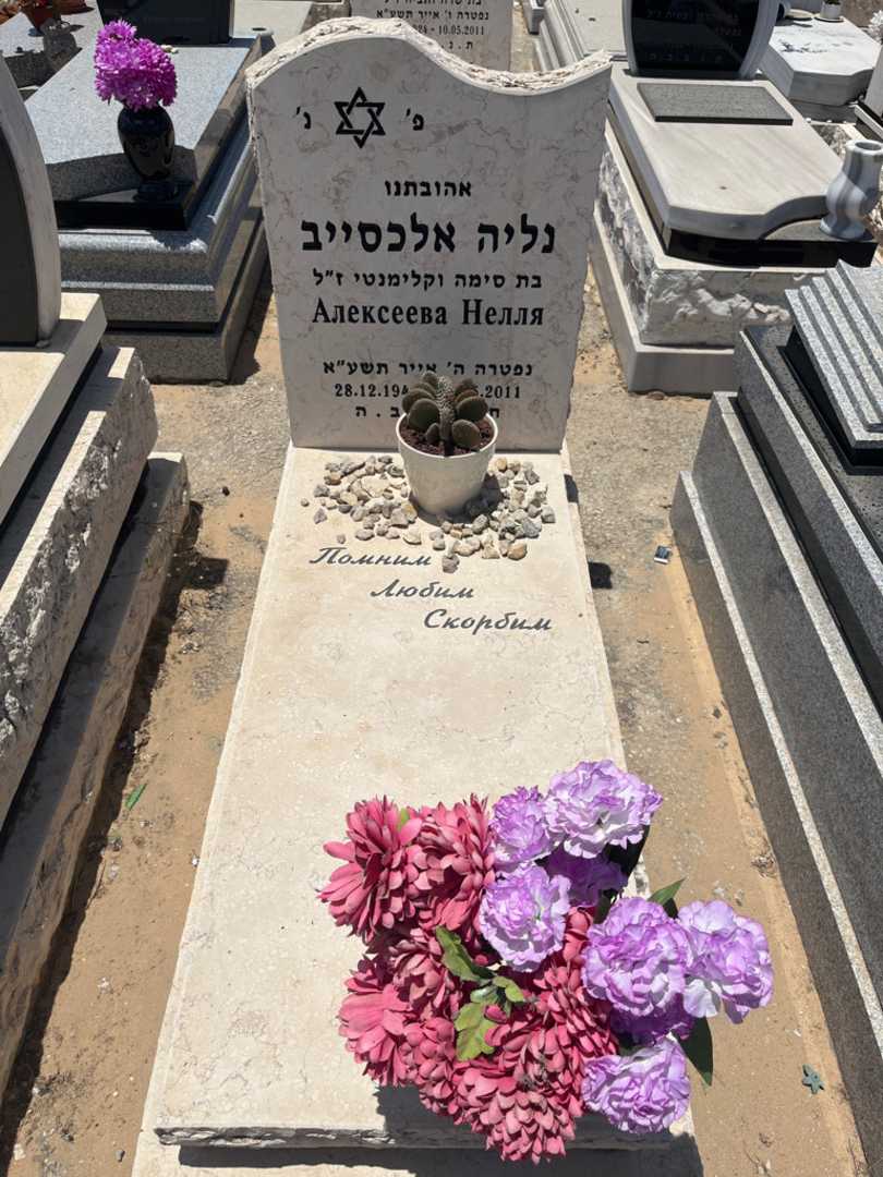קברו של נליה אלכסייב. תמונה 2
