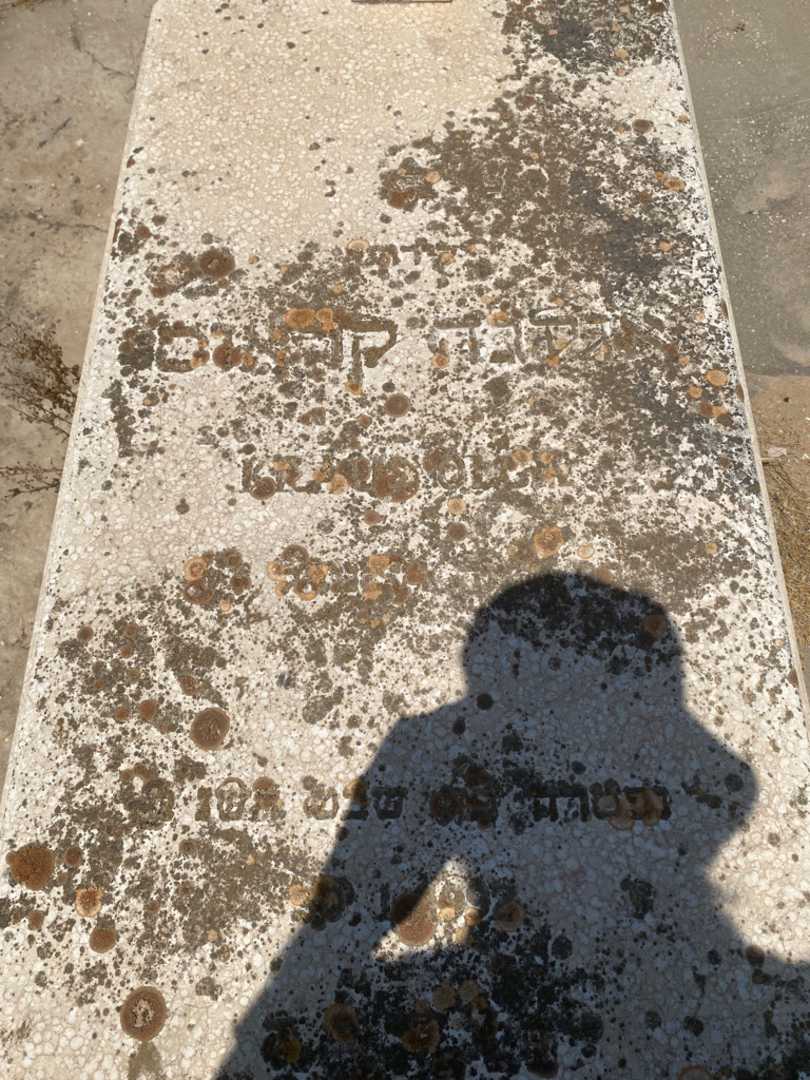 קברו של אולגה קראוס. תמונה 2