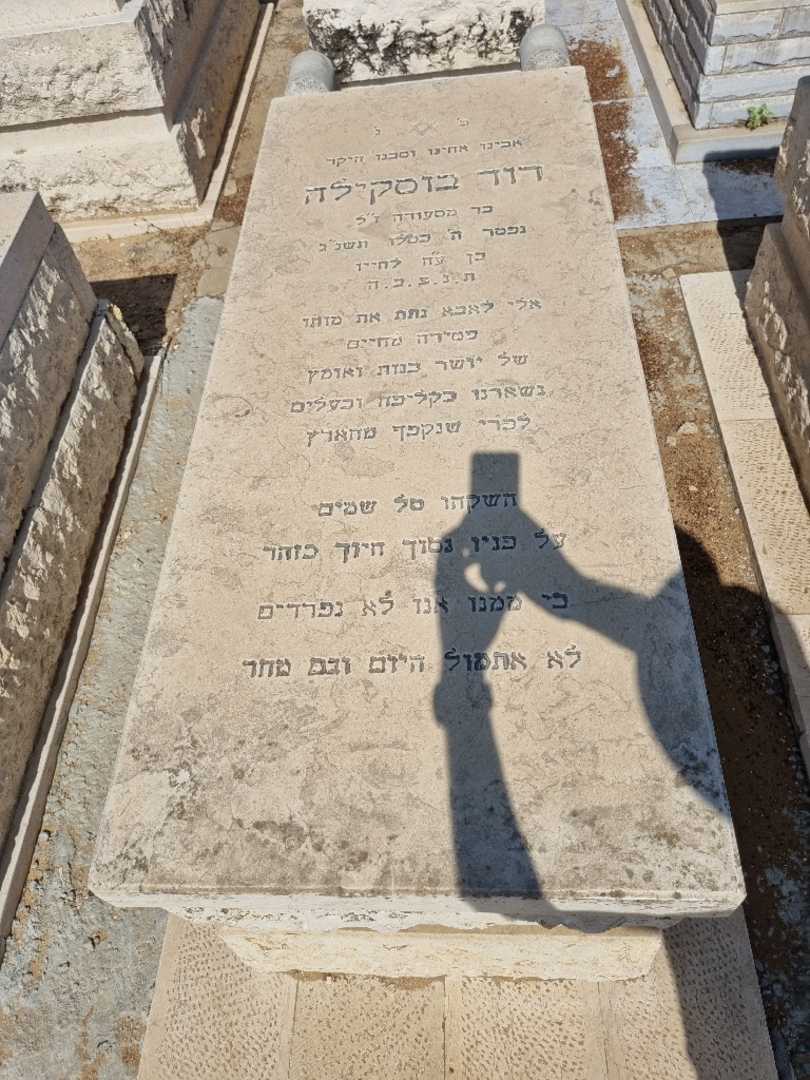 קברו של דוד בוסקילה. תמונה 1