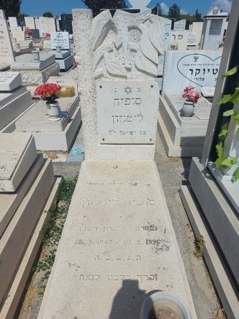קברו של סופיה ליטנזון. תמונה 1