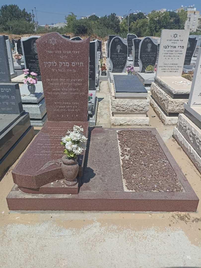 קברו של מרק לוקין. תמונה 1