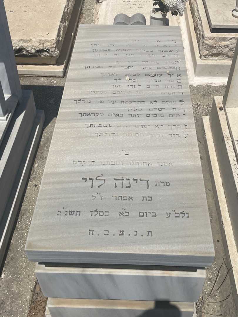 קברו של דינה לוי. תמונה 1