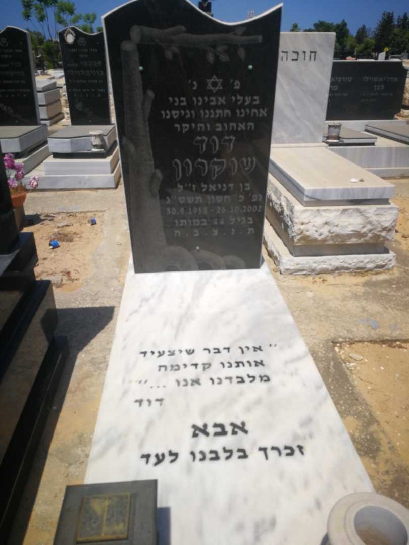 קברו של דוד שוקרון. תמונה 1