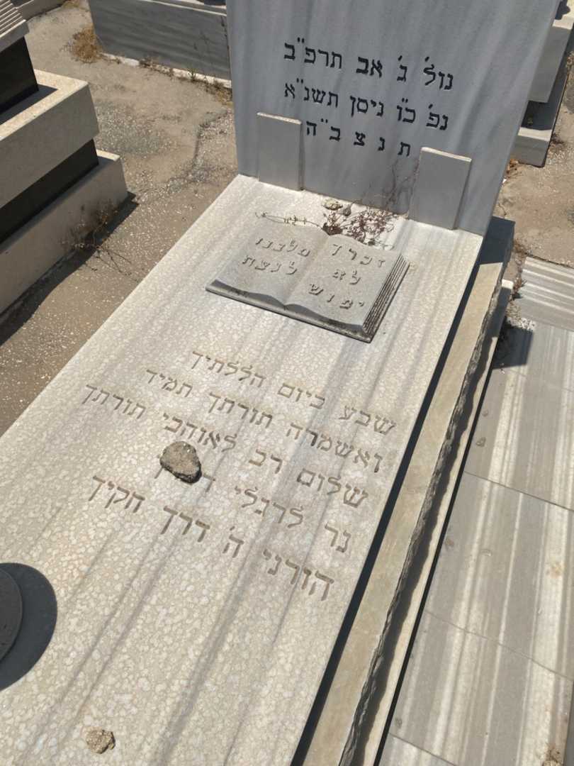 קברו של שושנה מוזס. תמונה 2