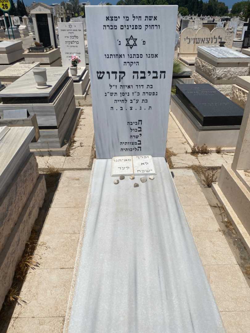 קברו של חביבה קדוש. תמונה 1